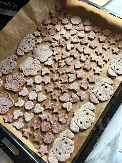 �������. ����