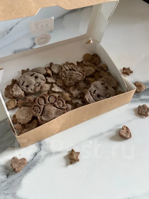 �������. ����