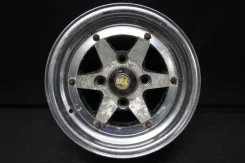 SSR LongChamp XR4