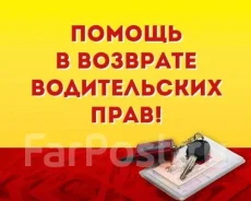 ����������. ����