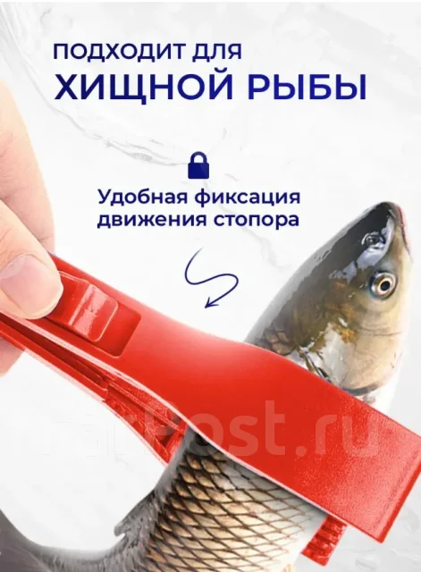 �����, �����. ����