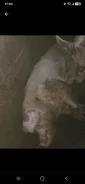 ������. ����