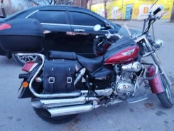 Irbis. 250����. ��., ��������, ���������, ������ �� �� ����