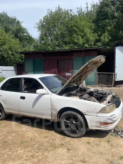 Toyota Camry. �������, ��������, 1.8 (1��.�.), ������, 450����. �� ����
