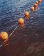 ���������� �������, ���������� ���� ���������, ���� �������. ����������. ����