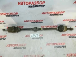 ������� Hyundai Accent 2 2000-2012 4950025210 LC, �������� ������ 4950025210 ����