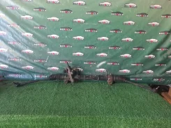 ������� ����� Toyota Harrier 4420048080 MCU35 1MZ-FE 4420048080 ����