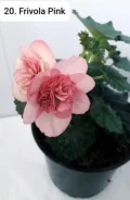 �������. ����