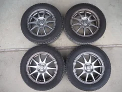 Abelia Sport