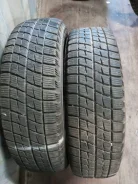 Bridgestone Ice Partner