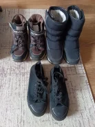 ����� ����� 36 ������� ����