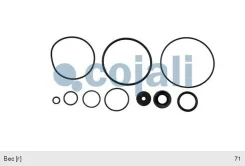 ����������� ������� ��������������, 6012033, Cojali 9730110002 ����