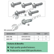 ���� SAF ��������� ����� ���������� �������� 6��. 600.256, Mansons 600256 ����