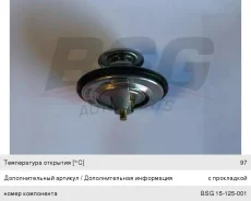 ��������� BMW 5 (E60), X5 (E53), BSG15125001, BSG TH32197G1 ����