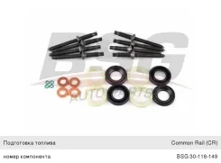 ������ �������������� Peugeot Citroen �������� ���������, BSG30116149, BSG 1609848080 ����