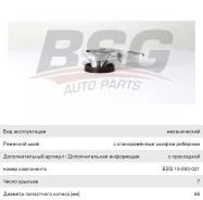 ����� ������� BMW 3 (E90, E90N, E91, E91N),5 (E60, E60N, E61, E61N) (N47/M47/M57), BSG15500021, BSG VKPC88645 ����