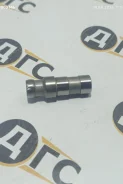 ����� ����������� HPV116 ����