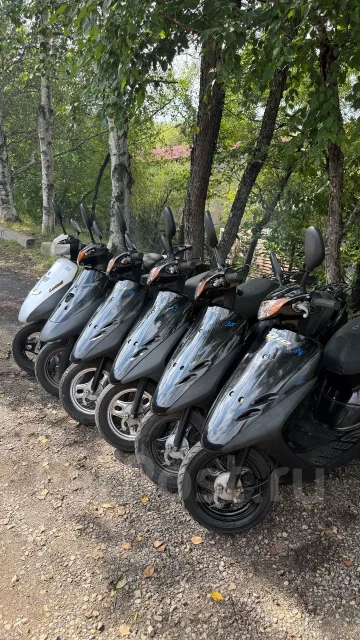 Honda Dio AF35. 50����. ��., ��������, ���������, ��� ������� ����