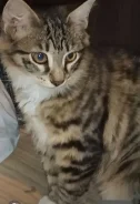 �����. ����
