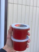 ���� �������. ����