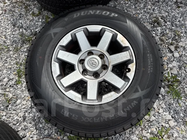 Dunlop Winter Maxx SJ8+. ������, ��� �����, 2025 ���, �/�, ����� �� 5 % ����