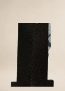 ������ �������� �� ������� R-194 ����