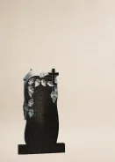 ������ �������� �� ������� R-195 ����