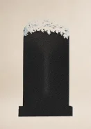 ������ �������� �� ������� R-196 ����