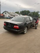 Nissan Bluebird. QU14601392, QG18265915 ����