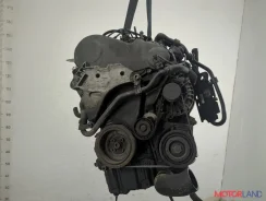 ���������� ������������ Volkswagen Tiguan 2007-2011 11949049 5N0820803C ����
