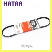 ������ ������������ Gates 3PK683 3PK683 ����