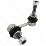 ���� ������������� ���������, ������ LS21130R ����