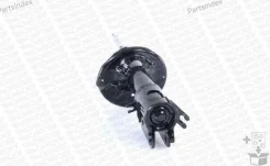 ������ ������������ �������� ����� OESpectrum 71436 ����
