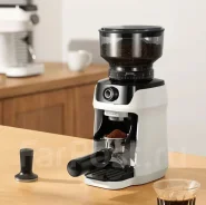 ���������. ����