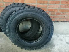 ���� �-2. �����������, 2024 ���, ����� ����