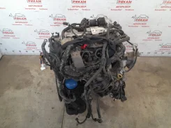 ��������� Nissan Navara 2012 101025X00A D40 YD25DDTI 101025X00A ����