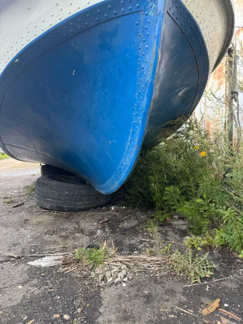 ����. 1991 ���, ����� 5,5��., ��������� ���������, ������ ����