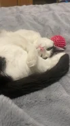 �����. ����