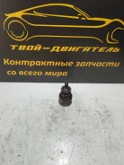 �������� ��������� BMW 11317502180 N52B30AF 11317502180 ����
