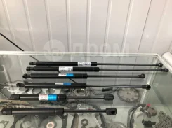 ����������� ��������� Toyota Prius 8213281 8213281 ����