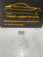 ����� ����������� Volkswagen touareg N10591604 BPE N10591604 ����