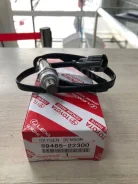 ������ ����������� 8946522300 8946522300 ����