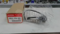 ������ ����������� Honda 36531PPA003 36531PPA003 ����