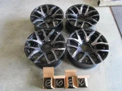 RAYS Team Daytona FDX F6