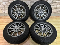 Abelia Sport