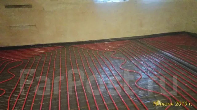 ������ ������ �����. ����