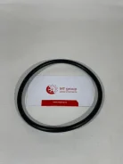 �������������� ������ 1006 1006 ����