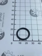�������������� ������ 925058 925058 ����