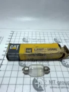 ����� 1569427 1569427 ����