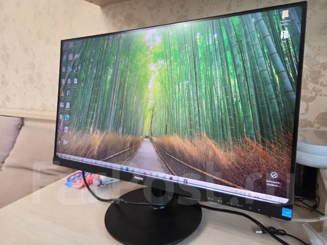 Philips. 24", ���������� �� (LCD, LED, QLED) ����